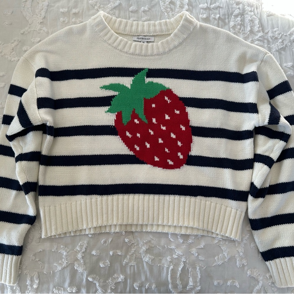Freshman Navy and Cream Cropped Striped Sweater with Red Strawberry